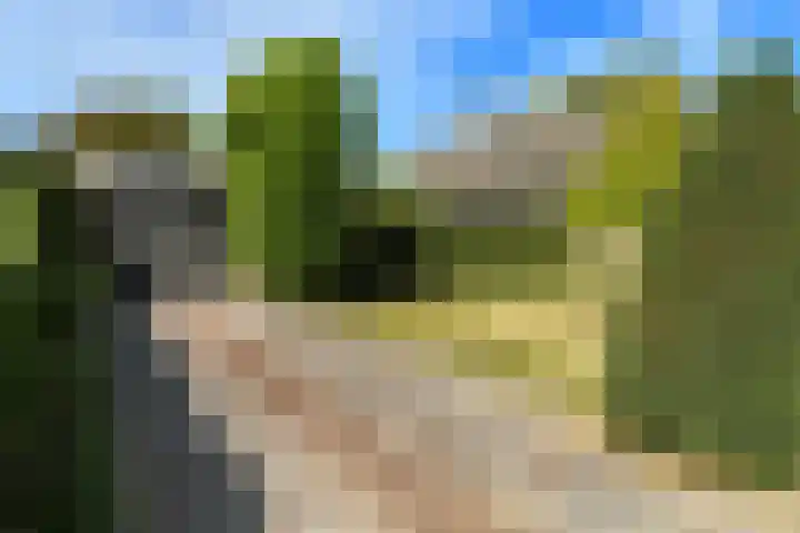 Griegstraat 30 Elst thumbnail 5