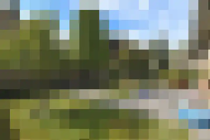 Griegstraat 30 Elst thumbnail 7