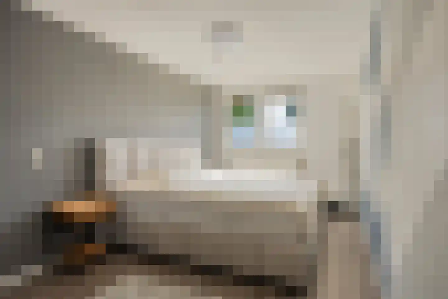 Griegstraat 42 Venray thumbnail 19
