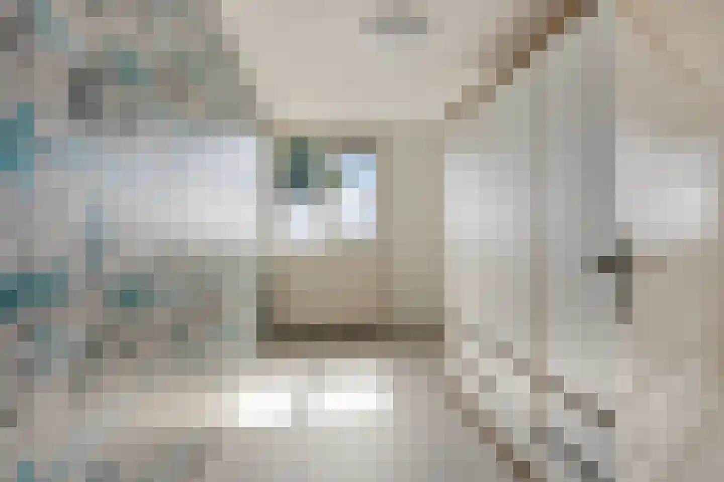 Griegstraat 42 Venray thumbnail 20