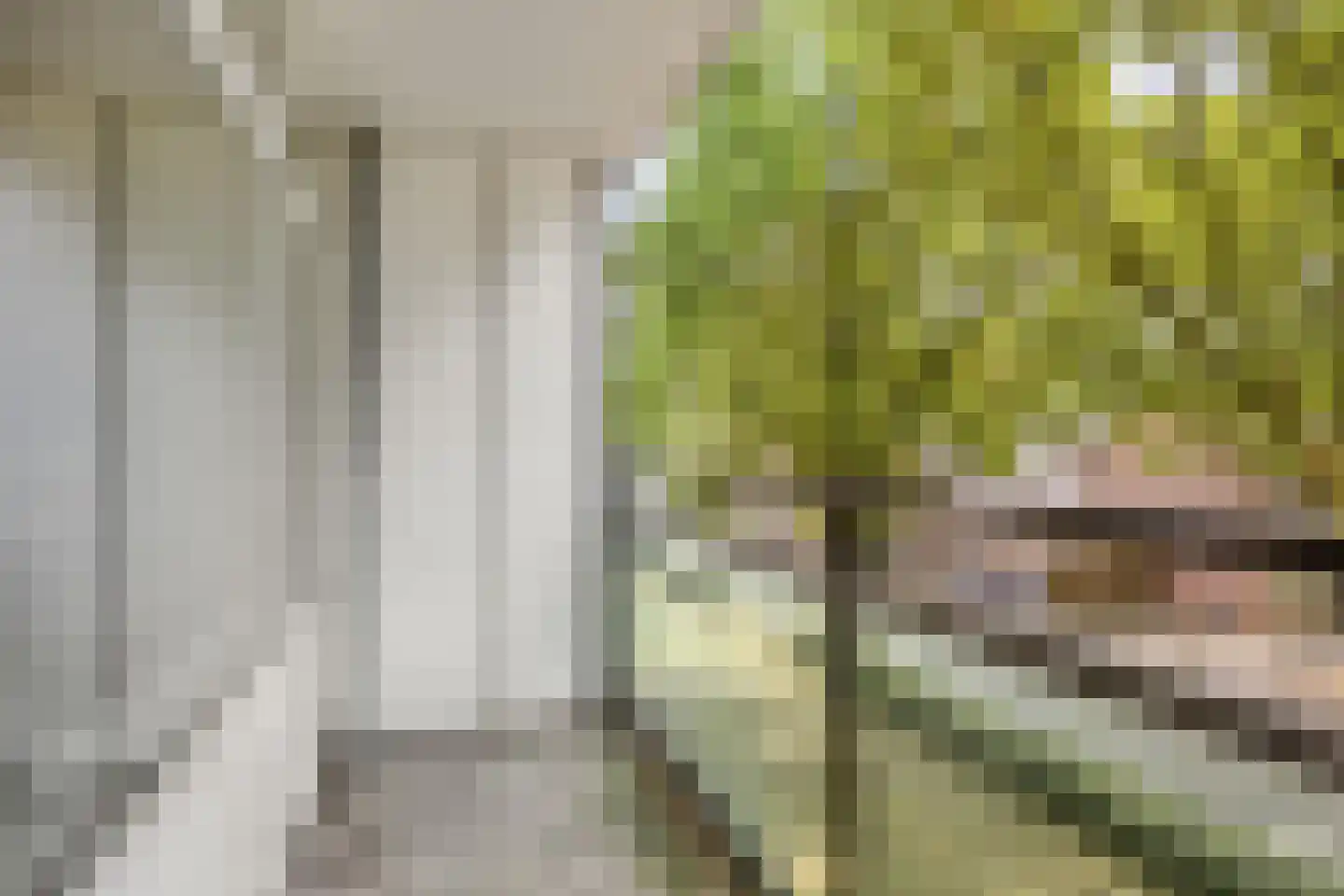 Griegstraat 541 Tilburg thumbnail 19
