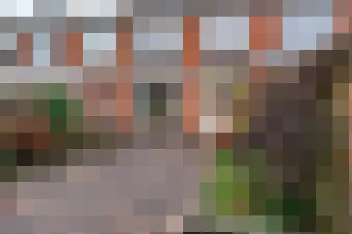 Griegstraat 7 Castricum thumbnail 33