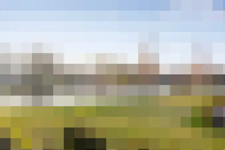 Griekenlandlaan 121 Oldenzaal thumbnail 25