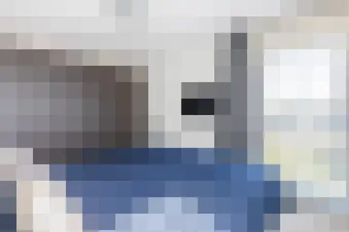 Griekenlandlaan 133 Oldenzaal thumbnail 16