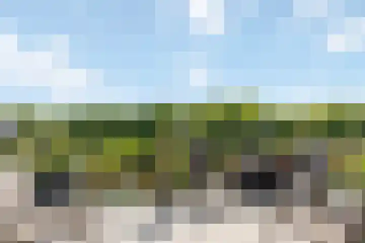 Griekenlandlaan 133 Oldenzaal thumbnail 19