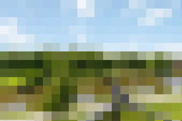 Griekenlandlaan 133 Oldenzaal thumbnail 20