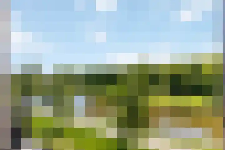 Griekenlandlaan 133 Oldenzaal thumbnail 21