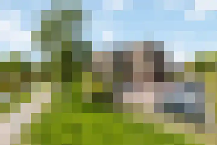 Griekenlandlaan 133 Oldenzaal thumbnail 5