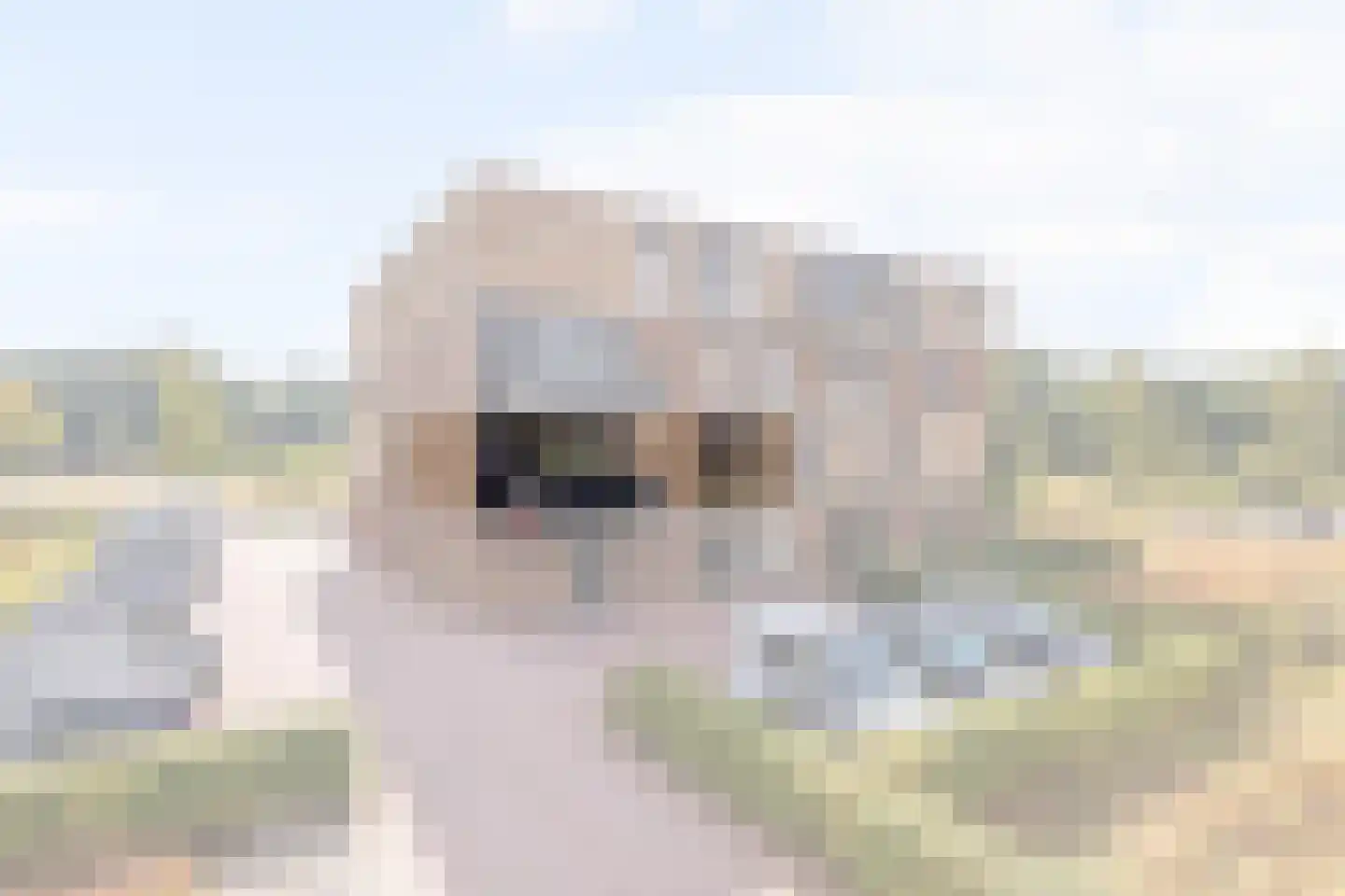 Griekenlandlaan 87 Oldenzaal thumbnail 7
