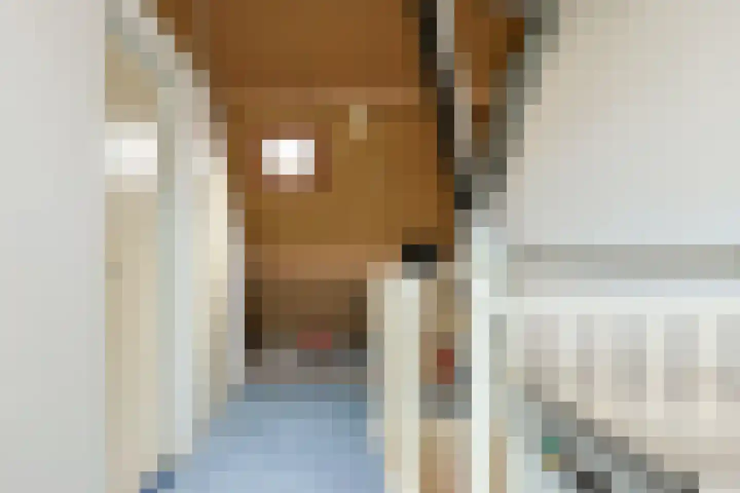 Griekenlandstraat 10 Alphen aan den Rijn thumbnail 34