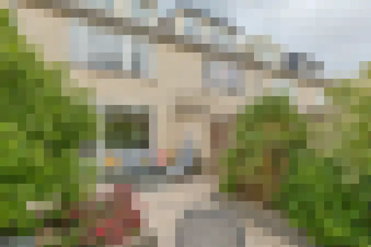 Griekenlandstraat 10 Alphen aan den Rijn thumbnail 43