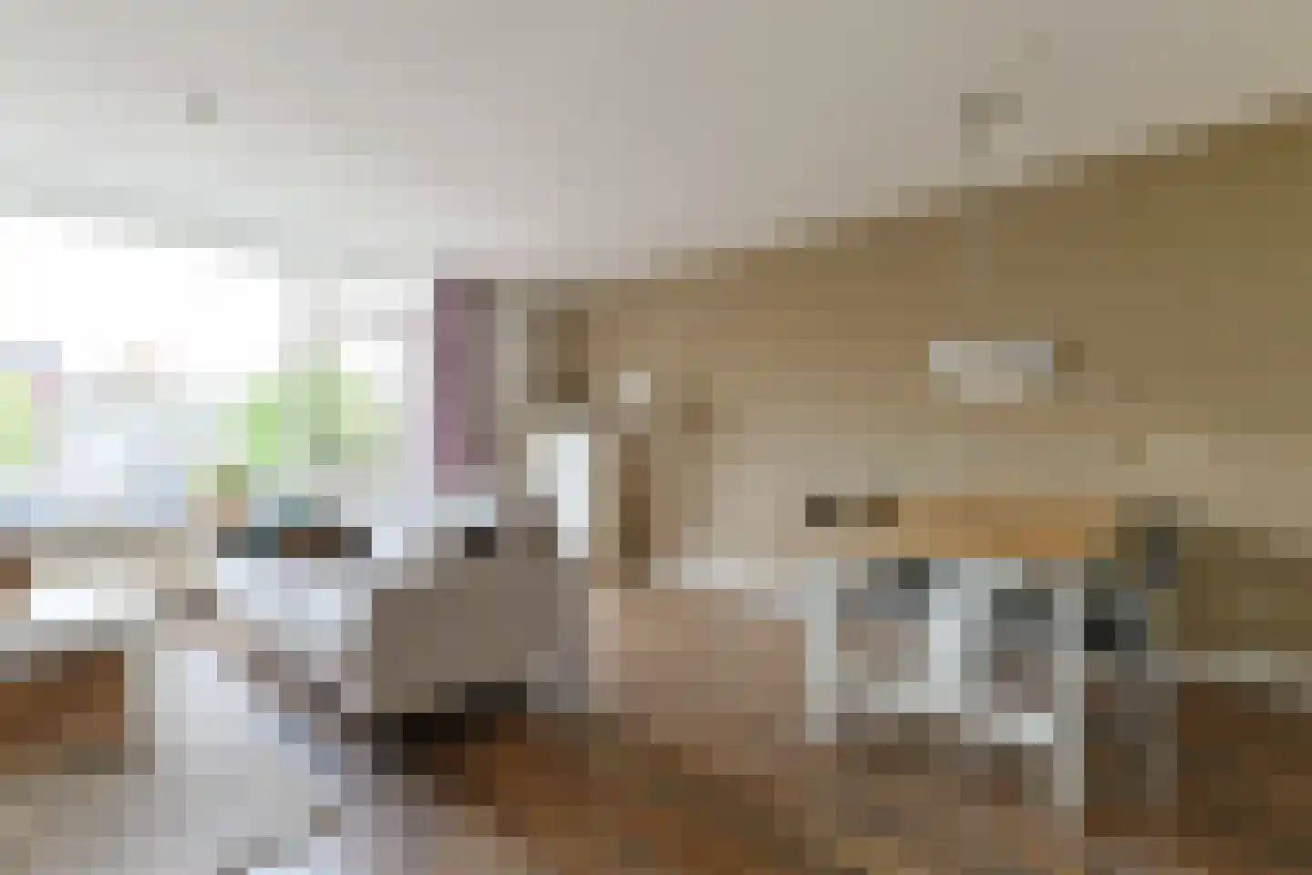 Griekenlandstraat 10 Alphen aan den Rijn thumbnail 7