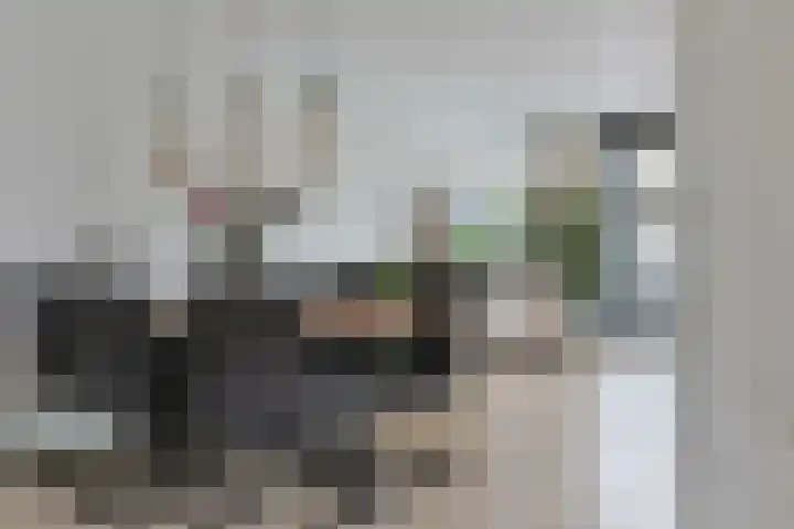Griekenlandstraat 20 Alphen aan den Rijn thumbnail 8