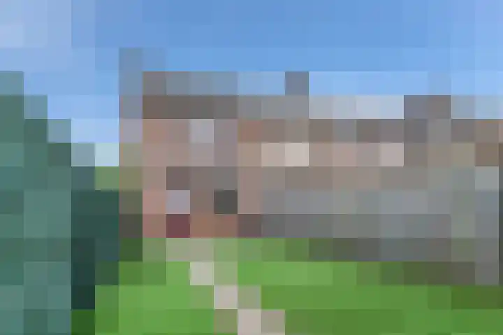 Griekenlandstraat 43 Bergen op Zoom thumbnail 9