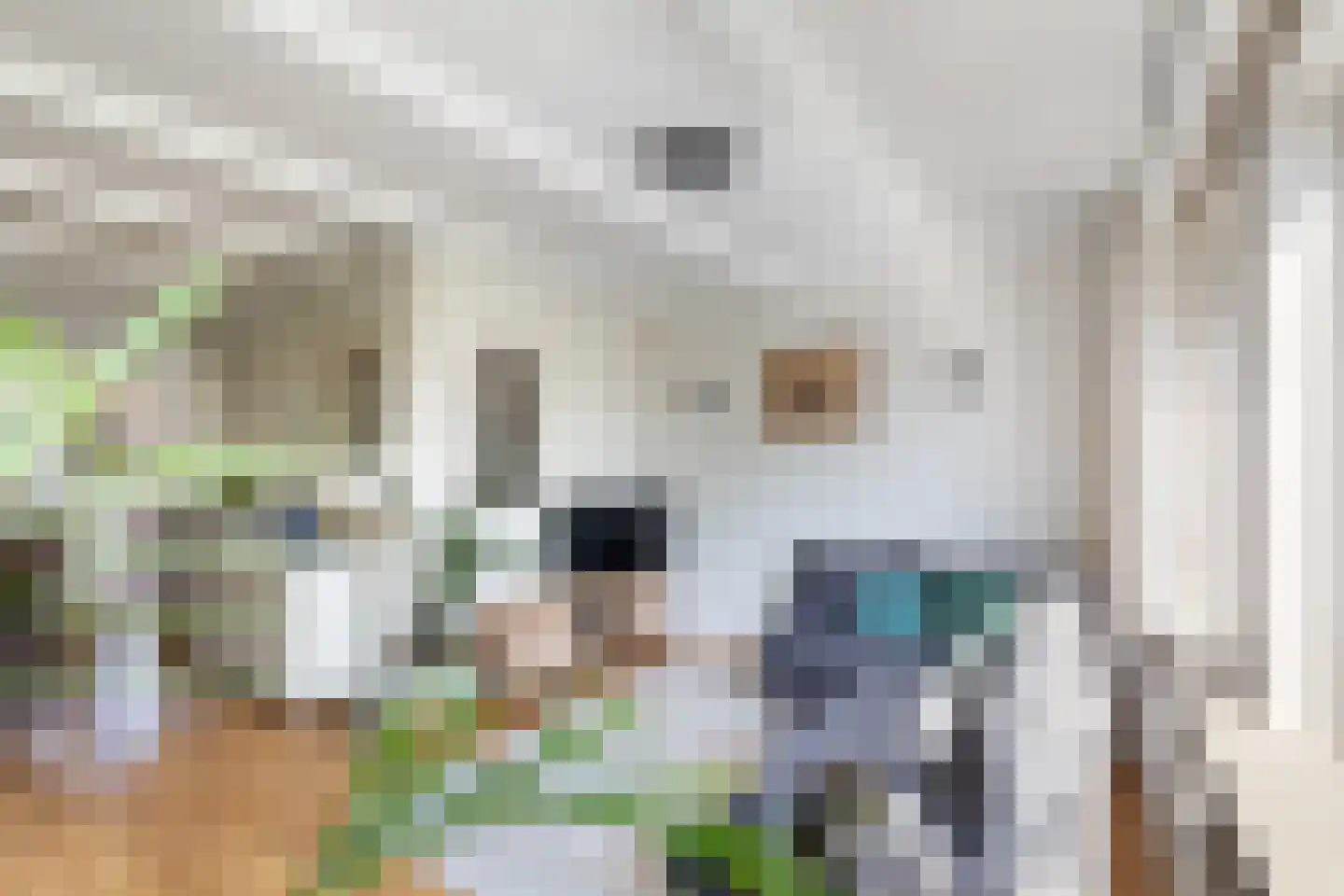 Grieksestraat 50 B Rotterdam thumbnail 11