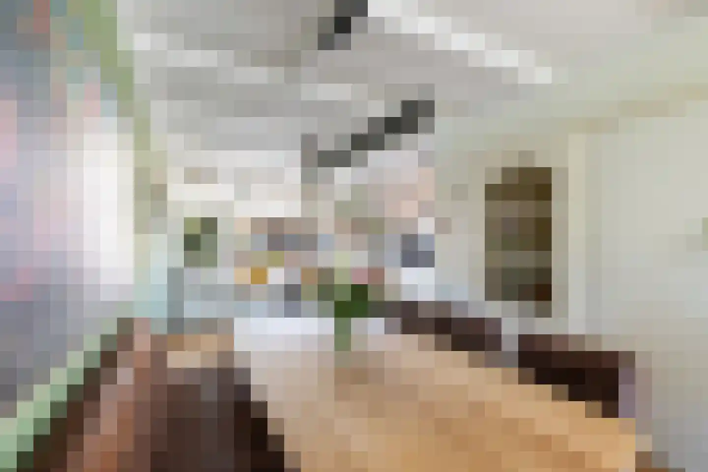 Grieksestraat 50 B Rotterdam thumbnail 14