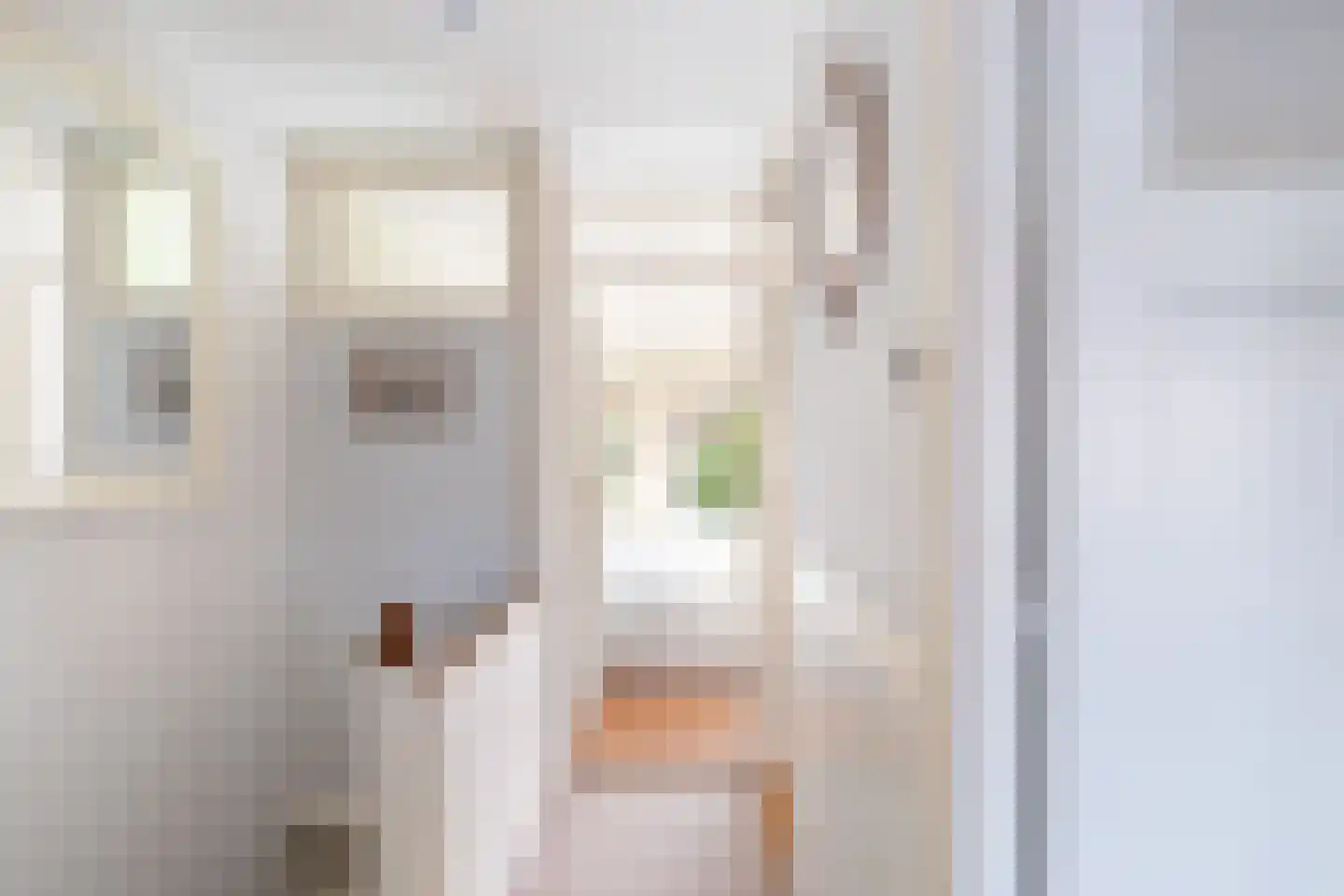 Grieksestraat 50 B Rotterdam thumbnail 36