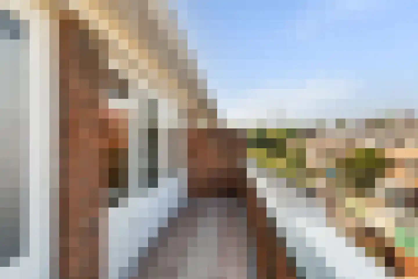Grieksestraat 50 B Rotterdam thumbnail 38