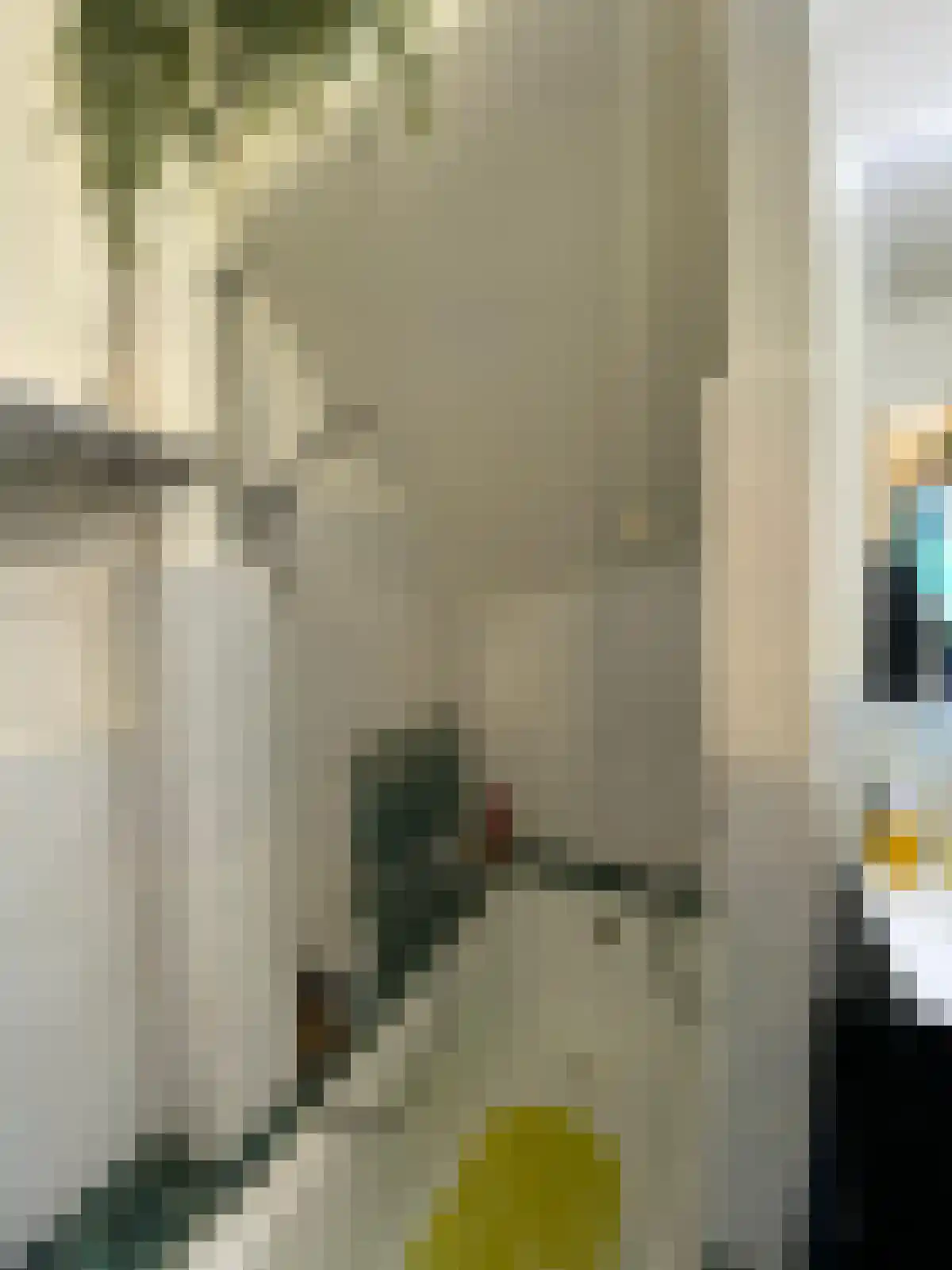 Grieksestraat 66 Rotterdam thumbnail 7