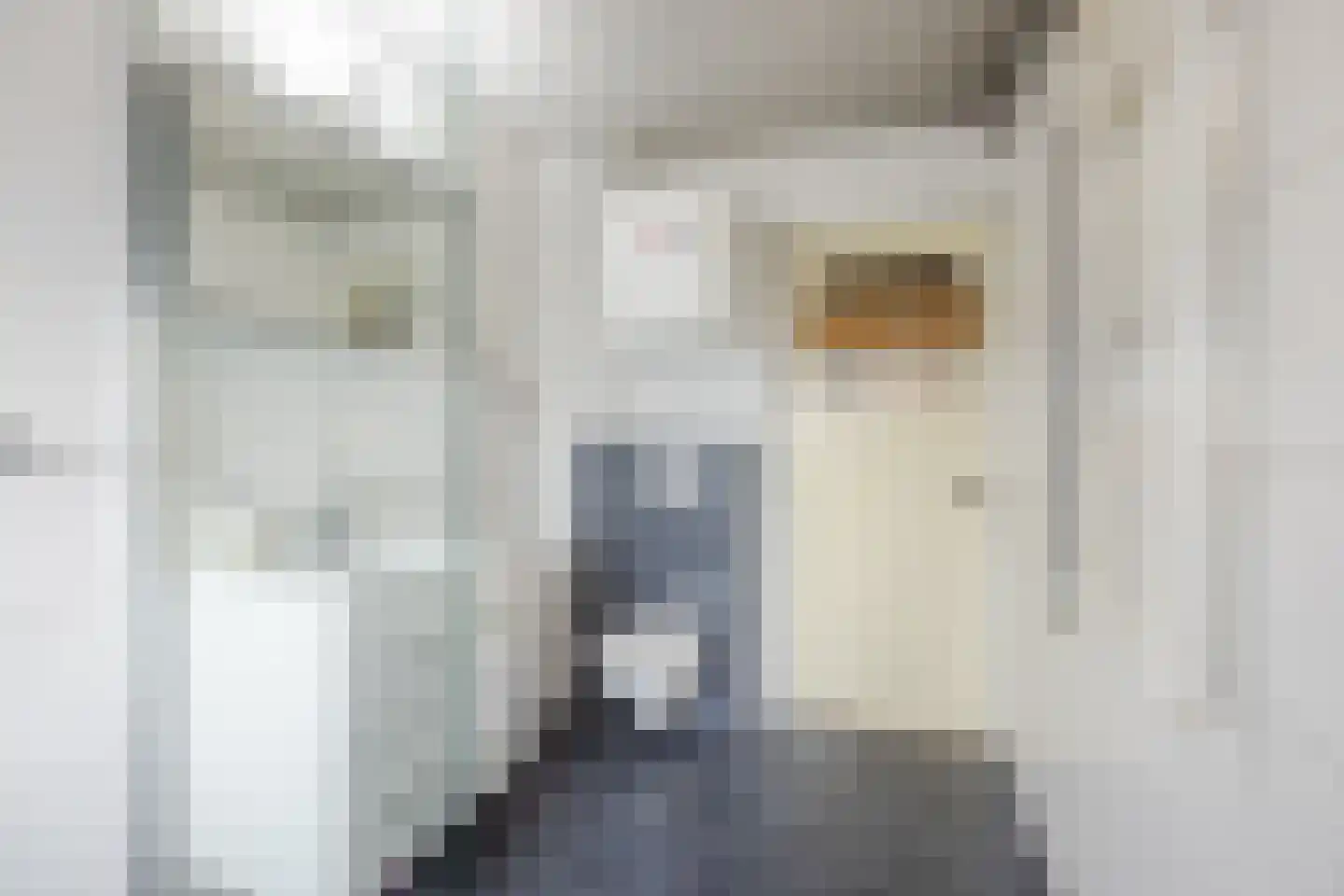 Grieksestraat 74 B Rotterdam thumbnail 32