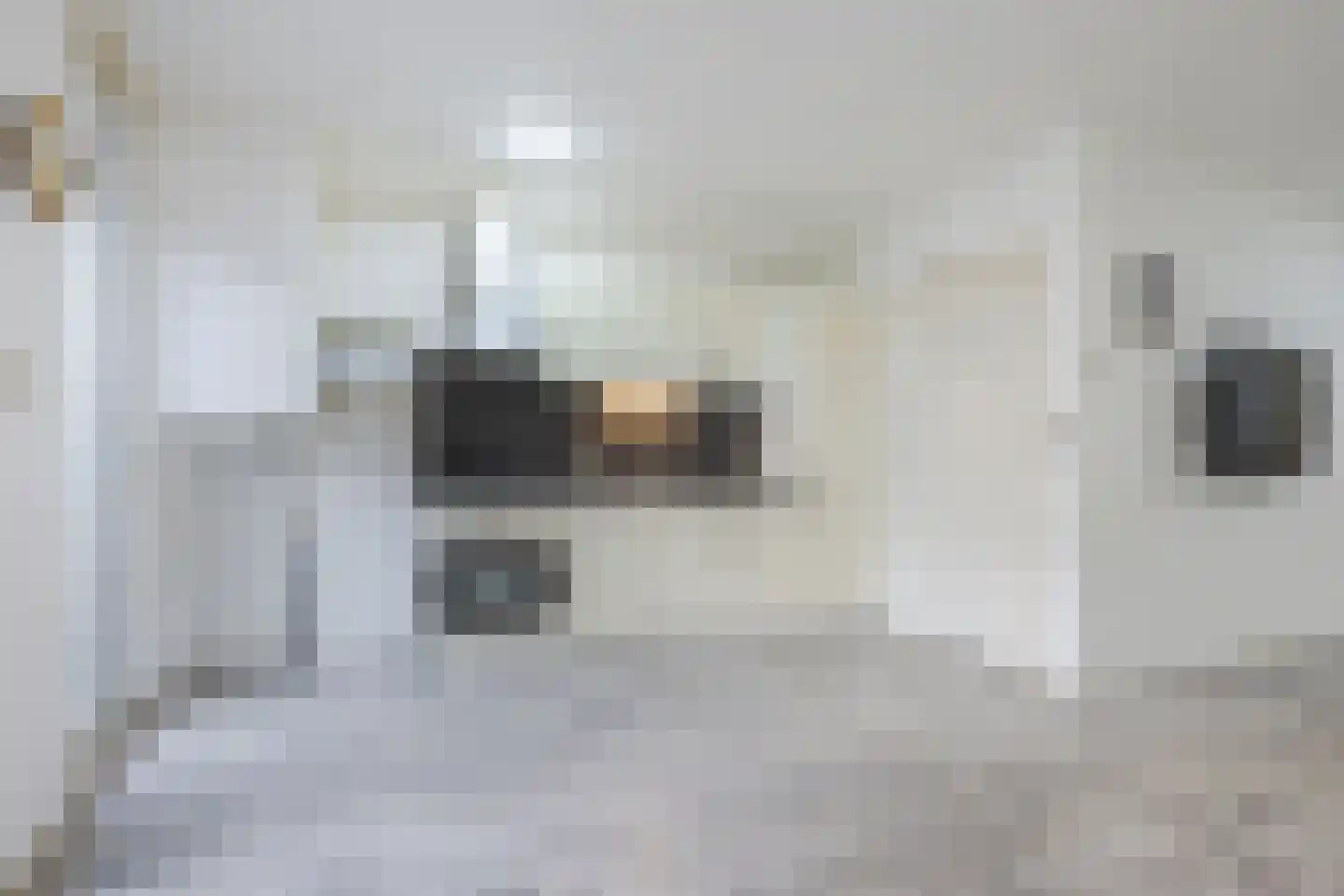 Grieksestraat 74 B Rotterdam thumbnail 9
