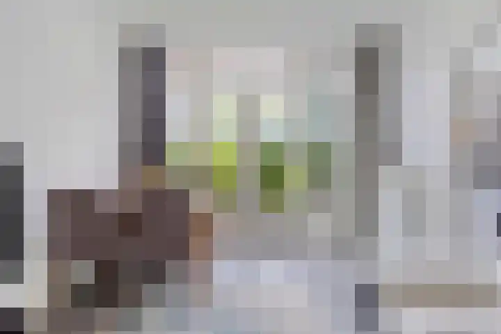 Grieksestraat 78 B Rotterdam thumbnail 8