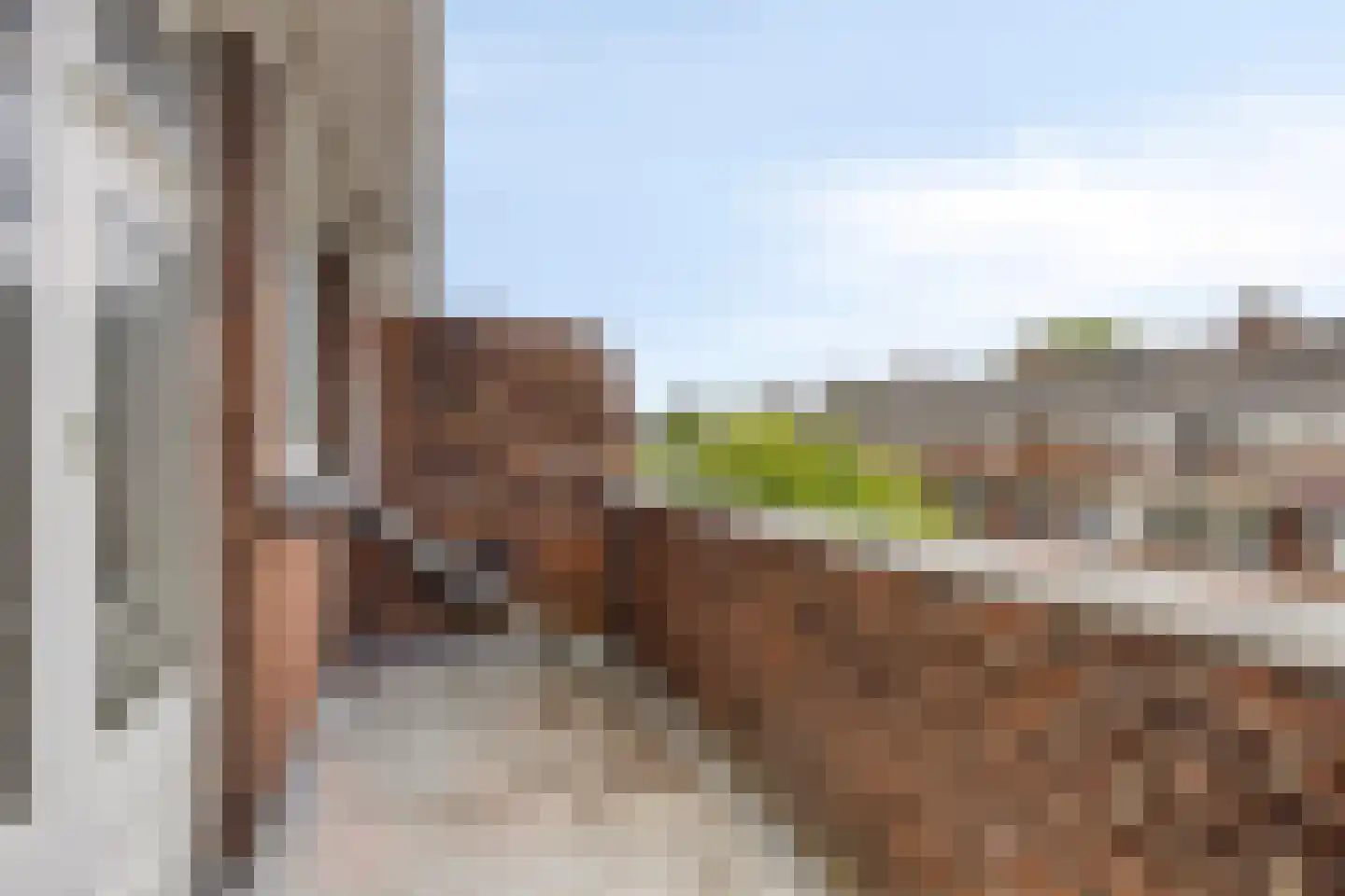 Grieksestraat 88 A Rotterdam thumbnail 16