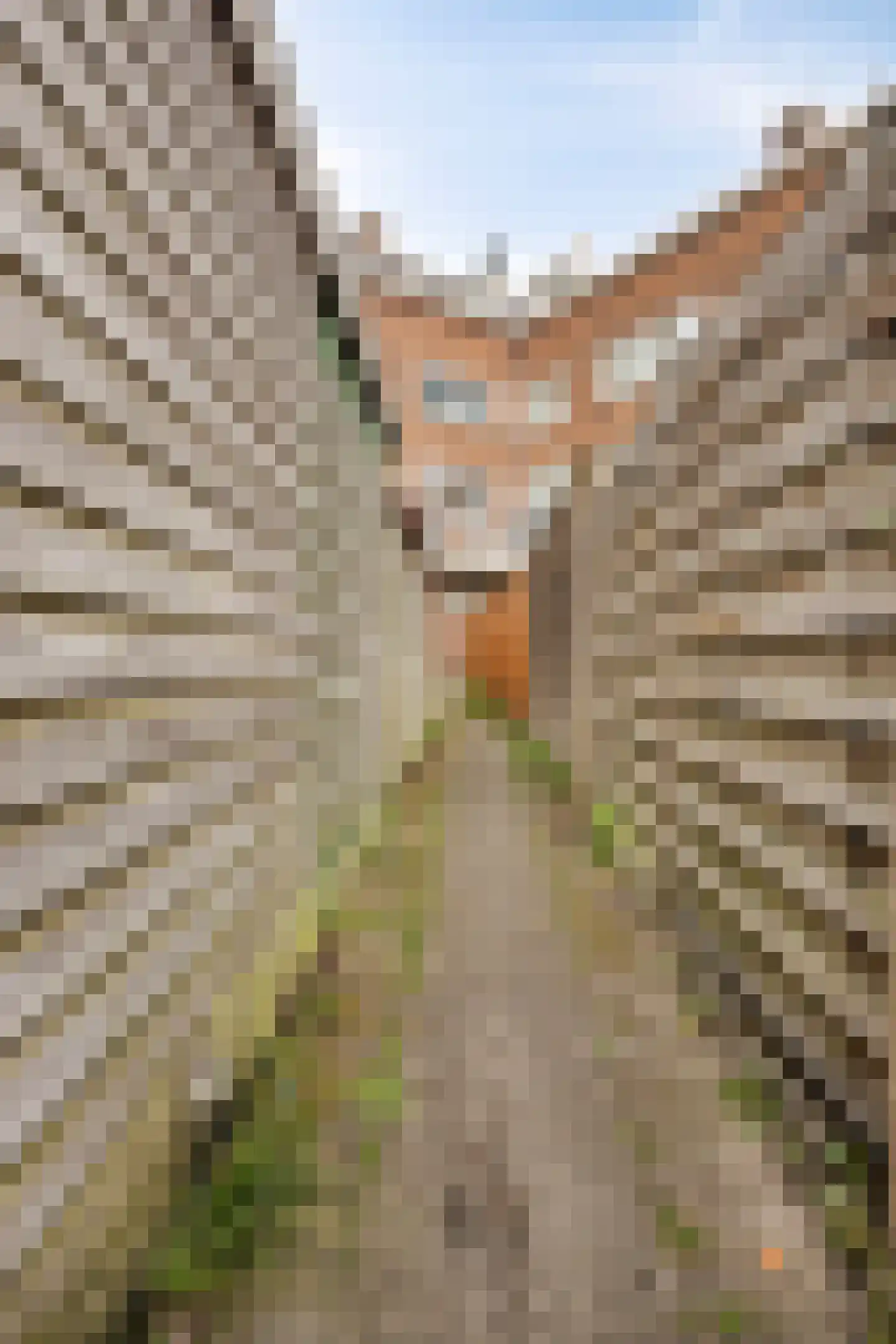 Grieksestraat 88 A Rotterdam thumbnail 23
