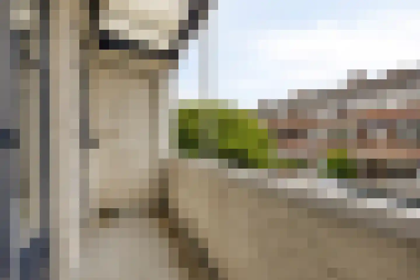 Grieksestraat 88 A Rotterdam thumbnail 4