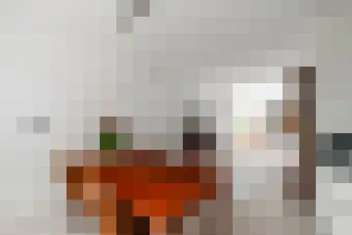 Griend 1 Heemskerk thumbnail 12