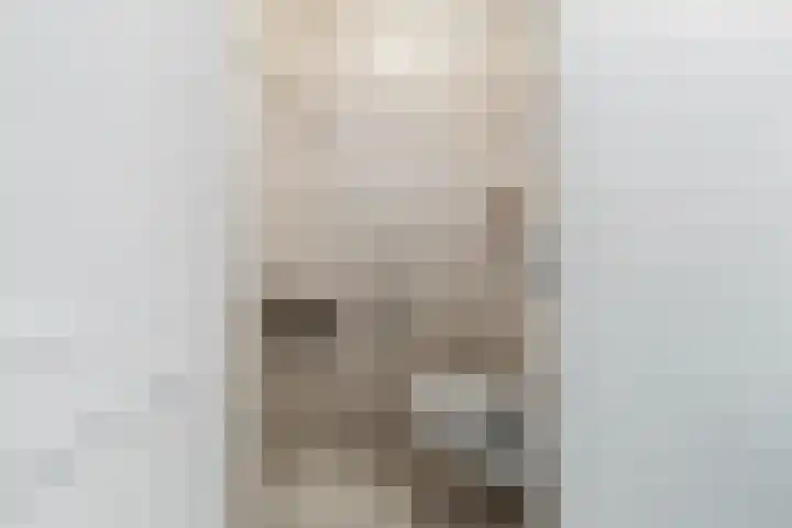 Griend 1 Heemskerk thumbnail 14