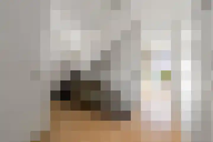 Griend 1 Heemskerk thumbnail 17