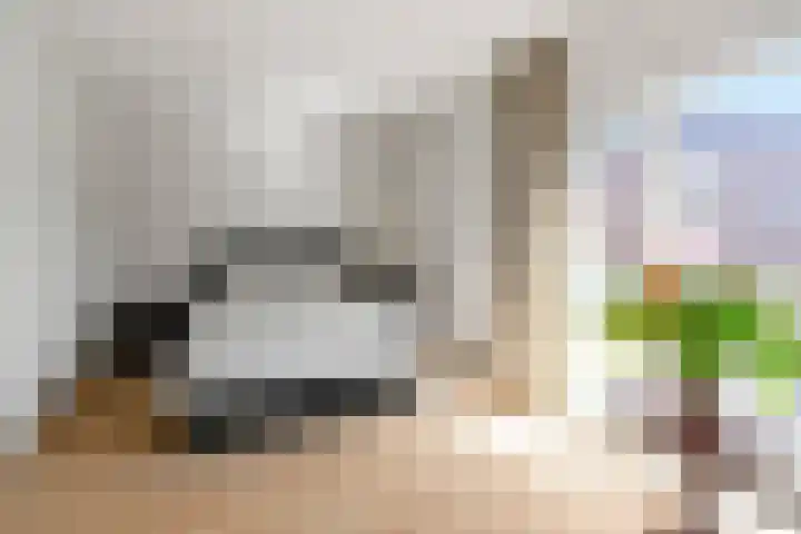 Griend 1 Heemskerk thumbnail 19