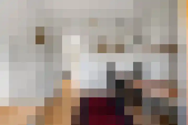Griend 1 Heemskerk thumbnail 24