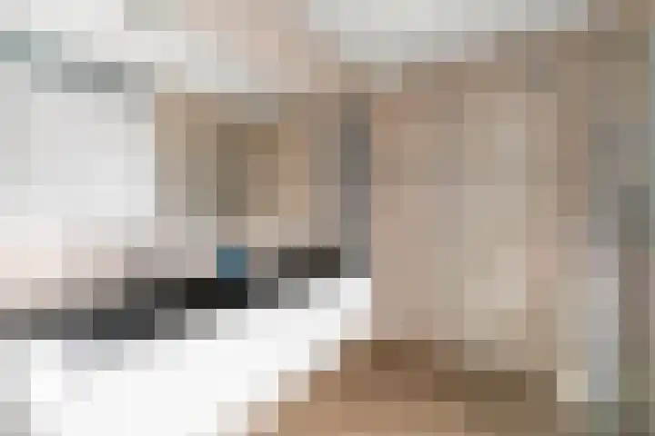 Griend 1 Heemskerk thumbnail 26