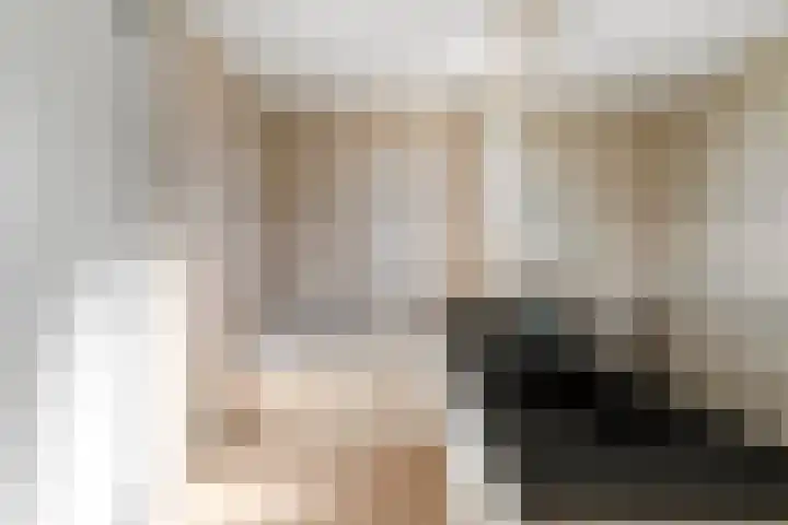 Griend 1 Heemskerk thumbnail 27