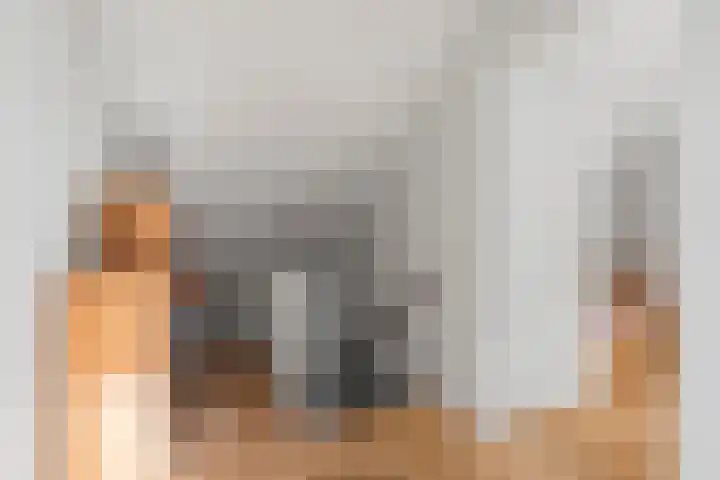 Griend 1 Heemskerk thumbnail 29