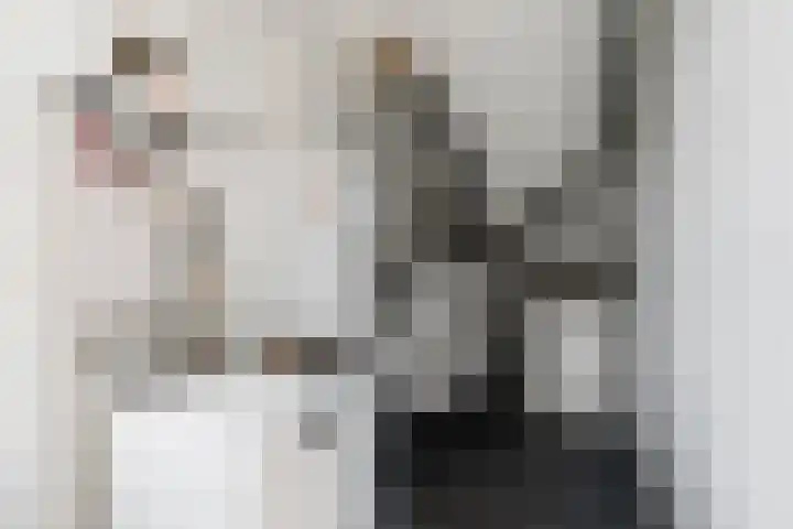 Griend 1 Heemskerk thumbnail 33