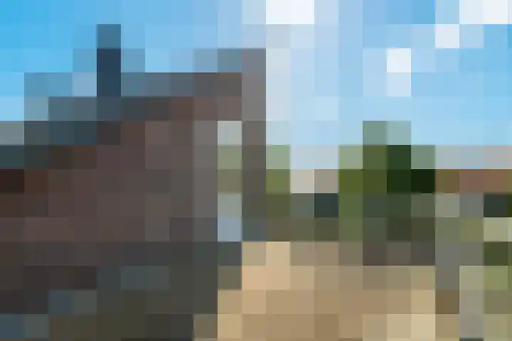 Griend 1 Heemskerk thumbnail 34