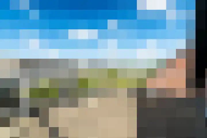 Griend 1 Heemskerk thumbnail 35