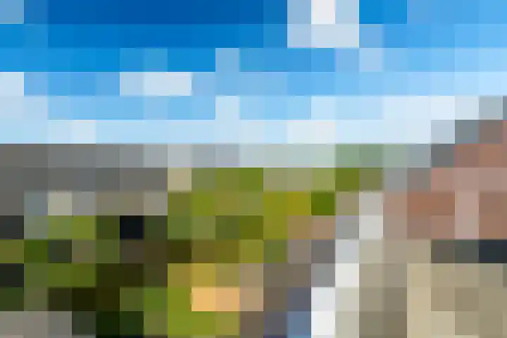 Griend 1 Heemskerk thumbnail 36