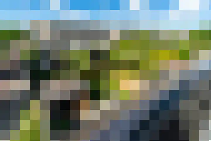 Griend 1 Heemskerk thumbnail 37