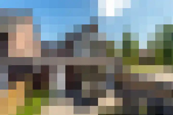 Griend 1 Heemskerk thumbnail 39
