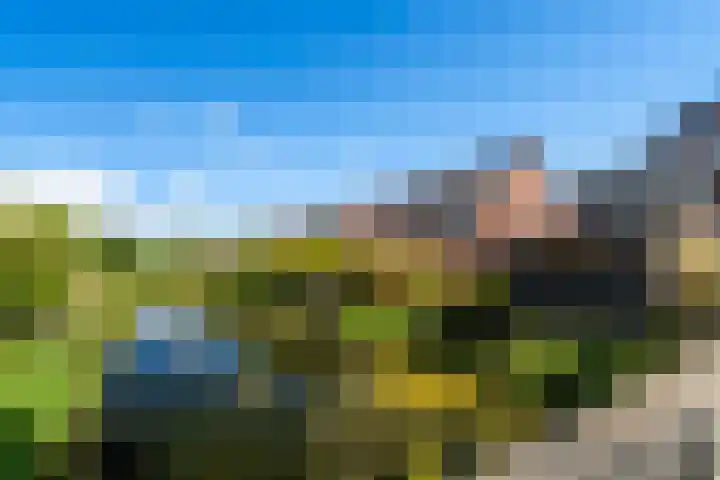 Griend 1 Heemskerk thumbnail 4