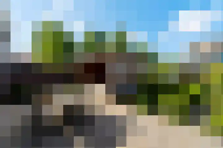 Griend 1 Heemskerk thumbnail 41