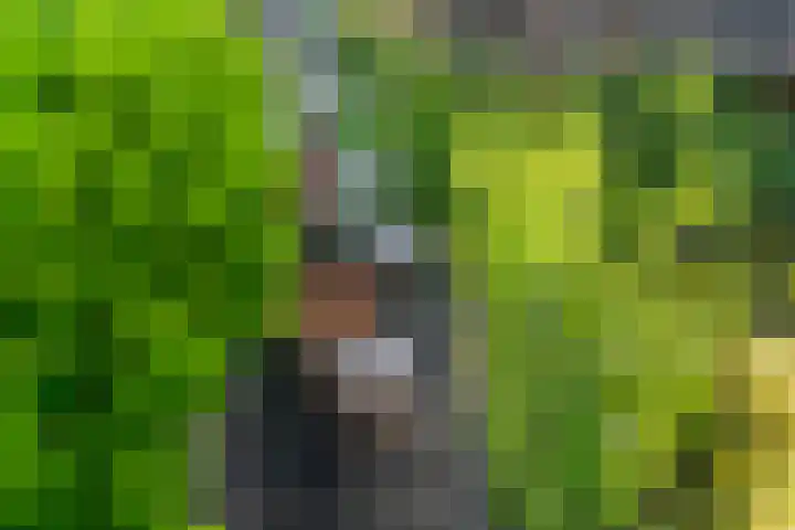 Griend 1 Heemskerk thumbnail 44