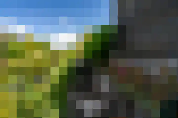 Griend 1 Heemskerk thumbnail 45