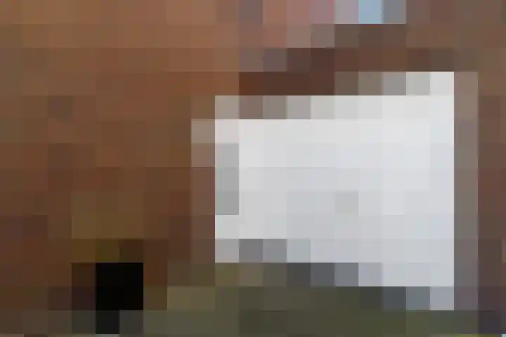 Griend 1 Heemskerk thumbnail 46