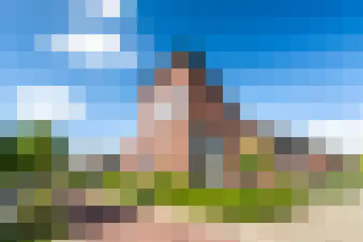 Griend 1 Heemskerk thumbnail 49