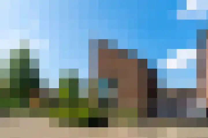 Griend 1 Heemskerk thumbnail 56
